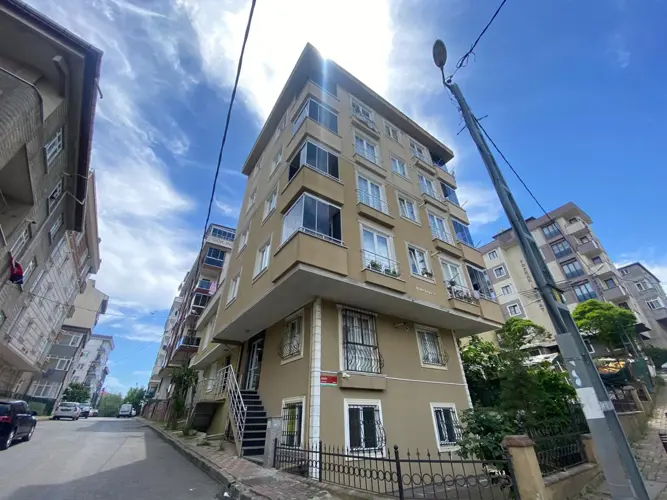Main Image